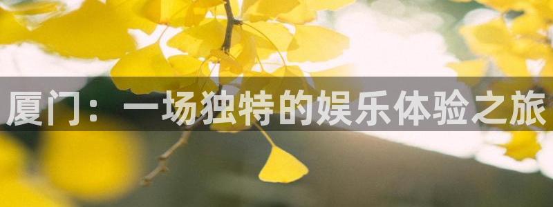 顺盈娱乐：厦门：一场独特的娱乐体验之旅