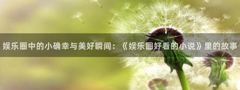 顺盈娱乐：娱乐圈中的小确幸与美好瞬间：《娱乐圈好看的小说》里的故事