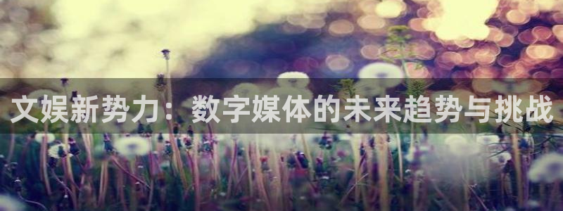 顺盈娱乐：文娱新势力：数字媒体的未来趋势与挑战