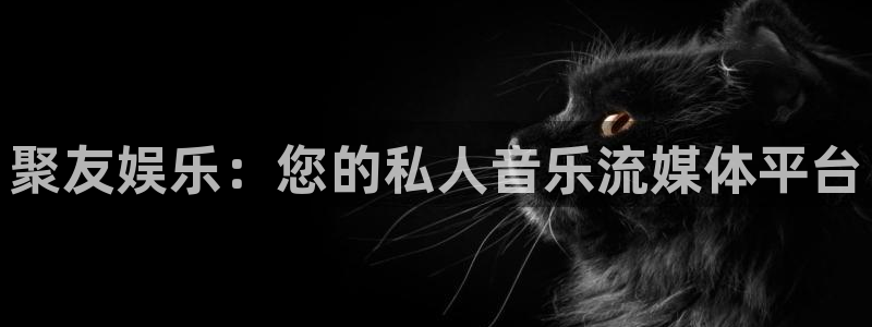 顺盈娱乐：聚友娱乐：您的私人音乐流媒体平台