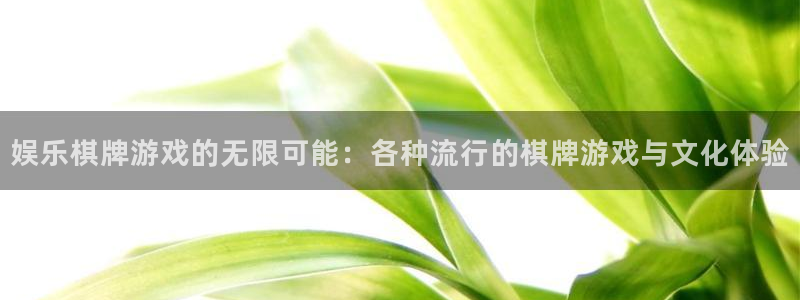 顺盈娱乐：娱乐棋牌游戏的无限可能：各种流行的棋牌游戏与文化体验