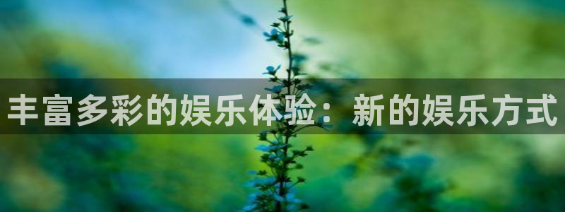 顺盈娱乐：丰富多彩的娱乐体验：新的娱乐方式