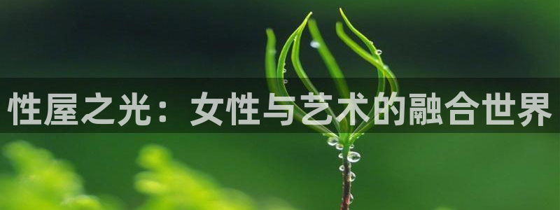 顺盈娱乐：性屋之光：女性与艺术的融合世界