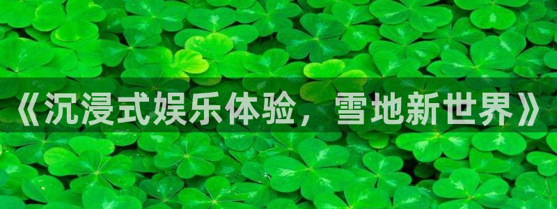 顺盈娱乐：《沉浸式娱乐体验，雪地新世界》