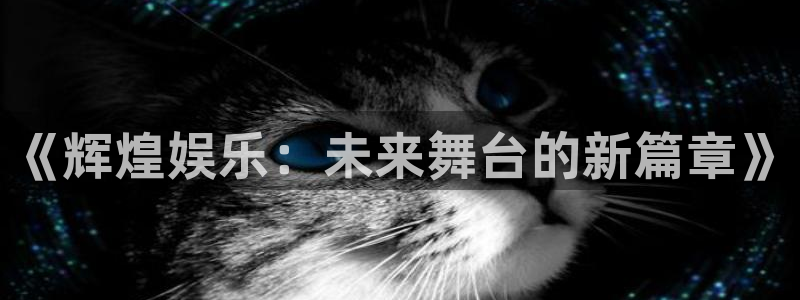 顺盈娱乐：《辉煌娱乐：未来舞台的新篇章》
