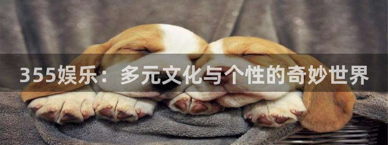 顺盈娱乐：355娱乐：多元文化与个性的奇妙世界
