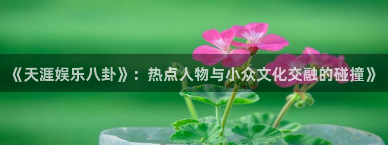 顺盈娱乐