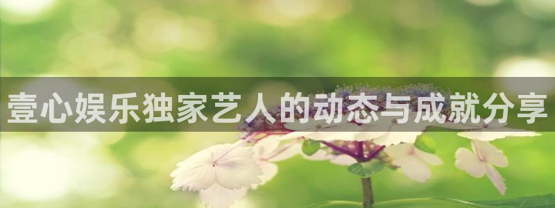 顺盈娱乐：壹心娱乐独家艺人的动态与成就分享